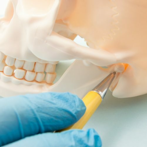 Temporomandibular Joint